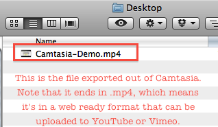 Camtasia exported file