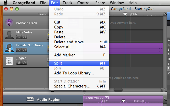 Remove Mistakes (Trim & Split), Camtasia