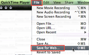 Quicktime file saveforweb