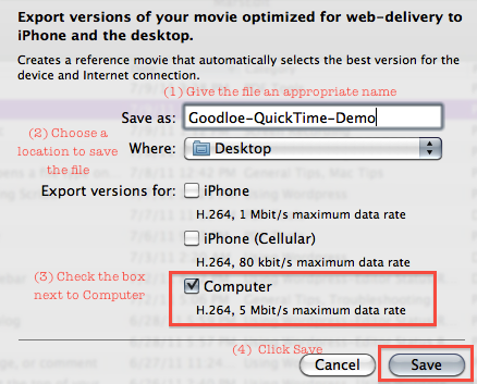 Quicktime web export options