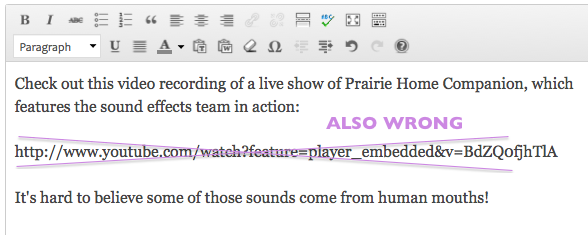 wp-youtube-also-wrong-url-postbody